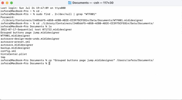 Terminal - move file.png