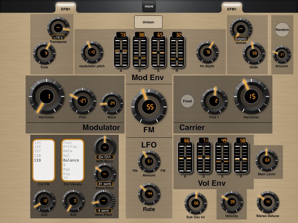 EFM1