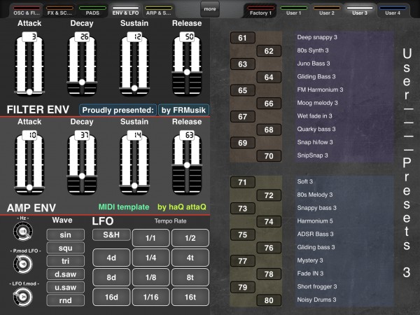 ADSR, Filter, AMP env and LFO. Plus Presets 61 to 80