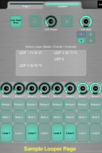 Sample Looper Page
